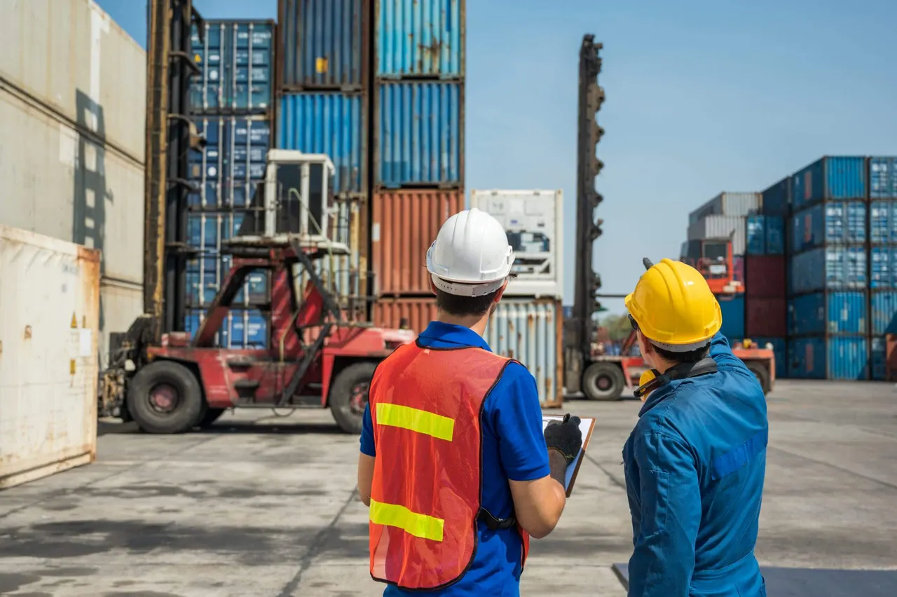 Profesionales de logística revisando contenedores en el puerto