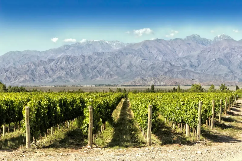 Valle de Los Andes y la cordillera