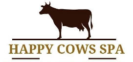 happy cows