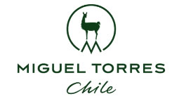 miguel torres